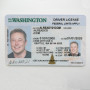 Fake Washington driver's license